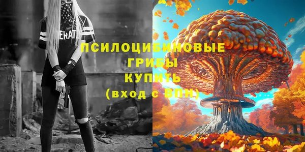 гидра Алзамай